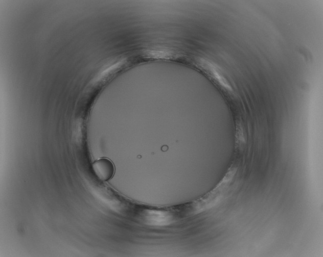 X0000110990167200907022123