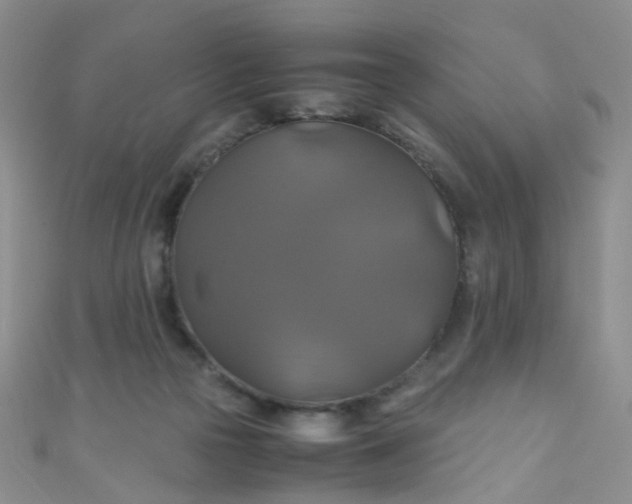 X0000110990169200907022123