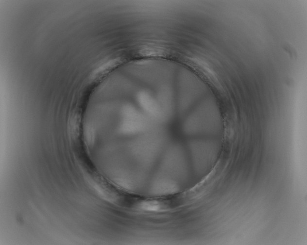 X0000110990171200907022123