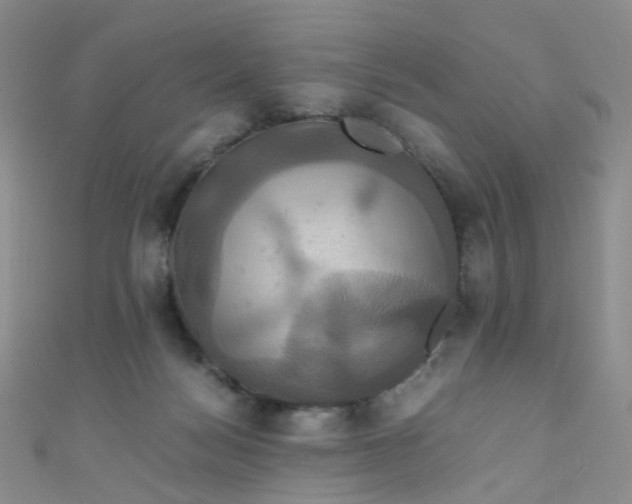 X0000110990172200907022123