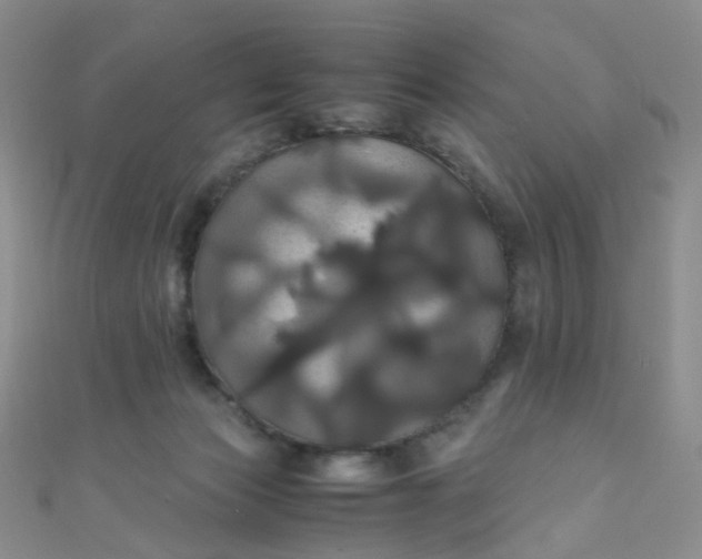 X0000110990173200907022123