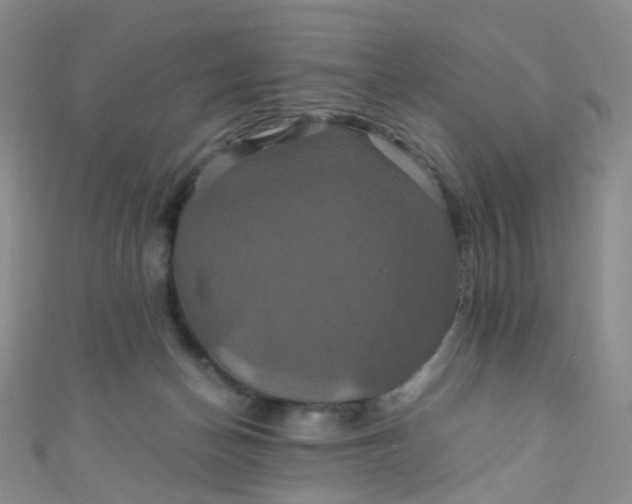X0000110990174200907022123