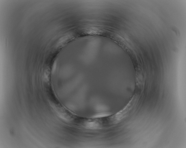 X0000110990175200907022123