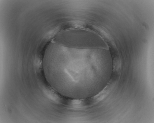 X0000110990176200907022123