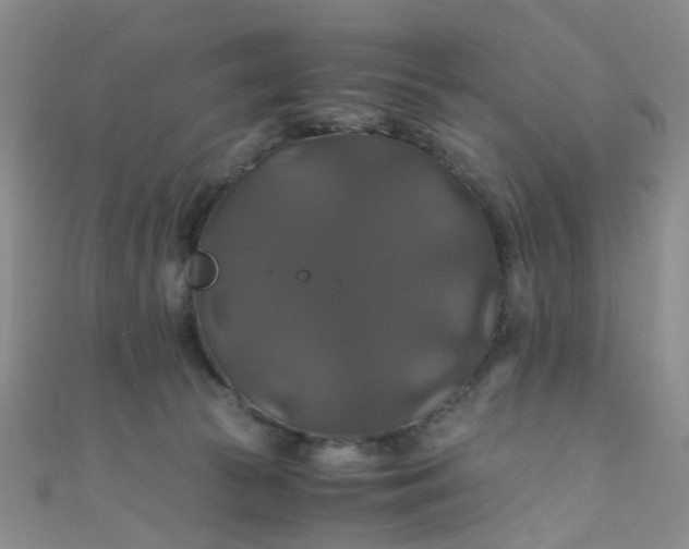 X0000110990177200907022123