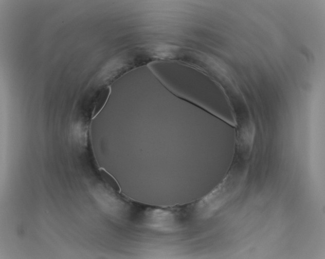 X0000110990180200907022124