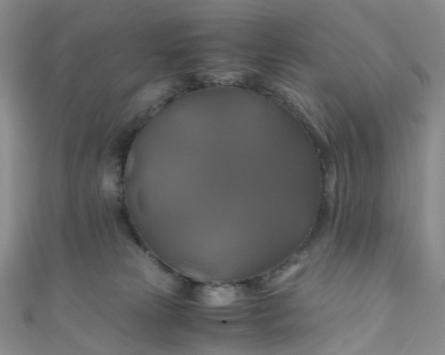 X0000110990181200907022124