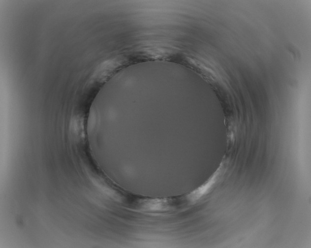 X0000110990182200907022124
