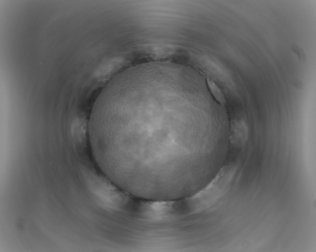 X0000110990184200907022124