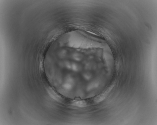 X0000110990185200907022124
