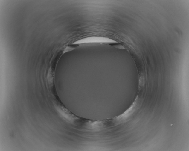 X0000110990186200907022124