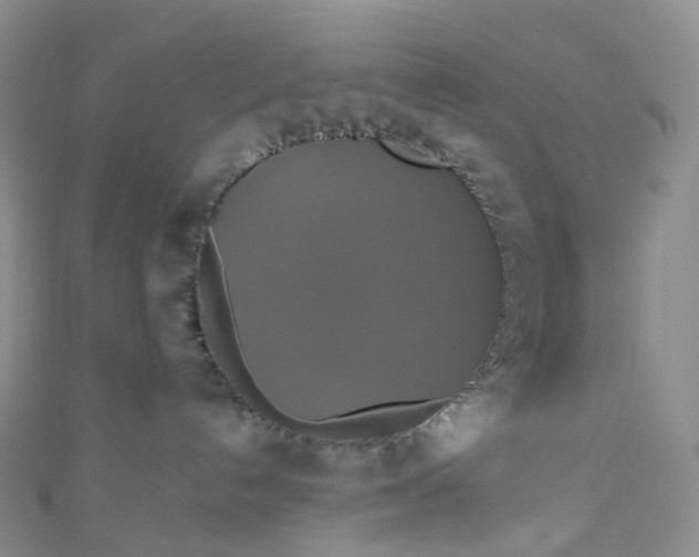 X0000110990192200907022124