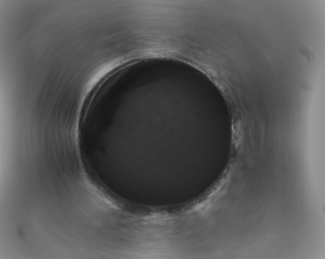 X0000110990196200907022123