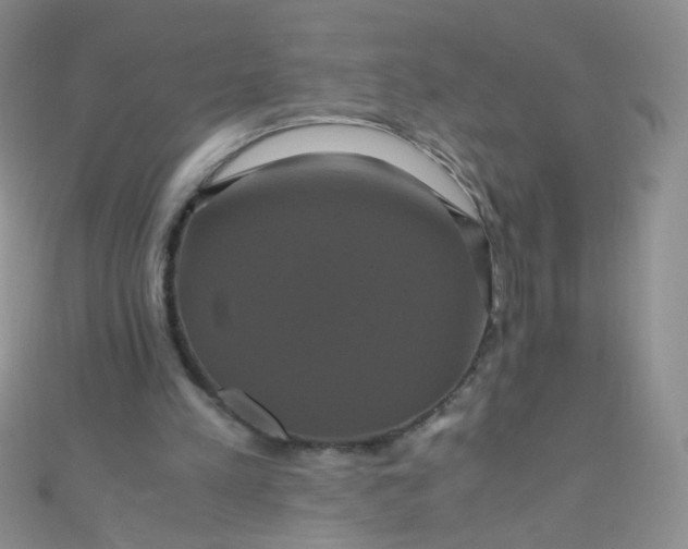 X0000110990197200907022123