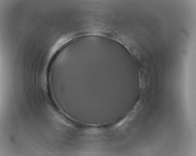 X0000110990198200907022123