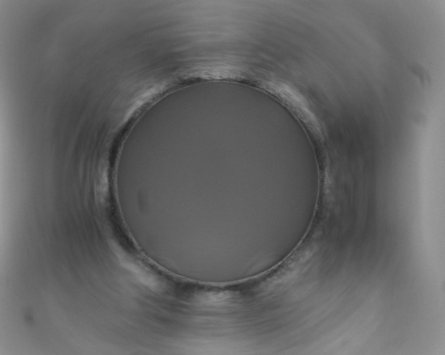 X0000110990202200907022123