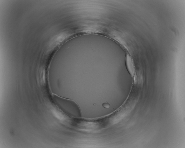 X0000110990205200907022123