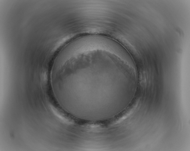 X0000110990208200907022123