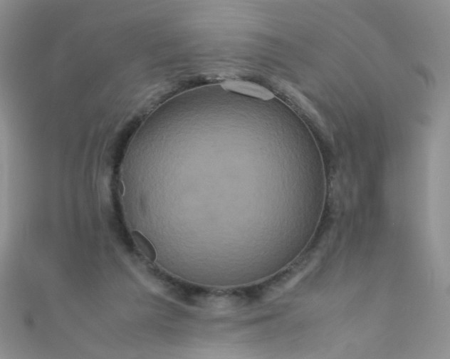 X0000110990209200907022123