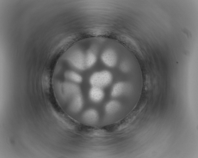 X0000110990210200907022123