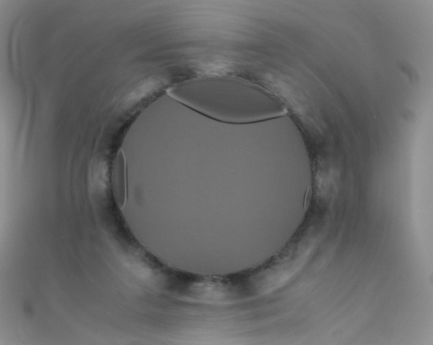 X0000110990211200907022123