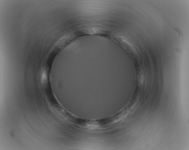 X0000110990214200907022123