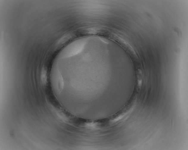 X0000110990216200907022123