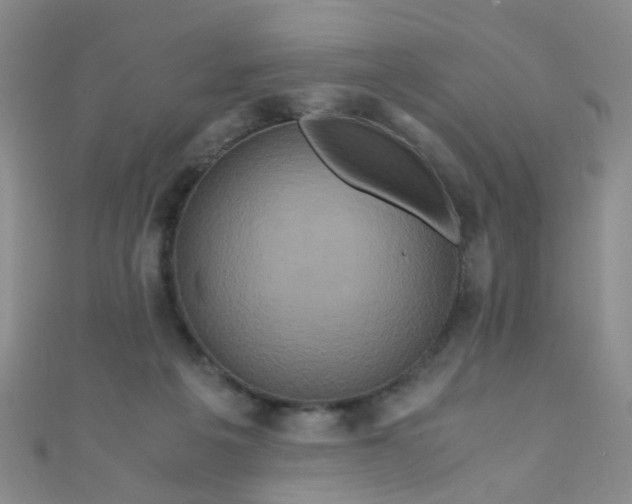 X0000110990217200907022123