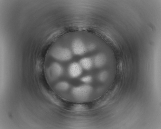 X0000110990218200907022123