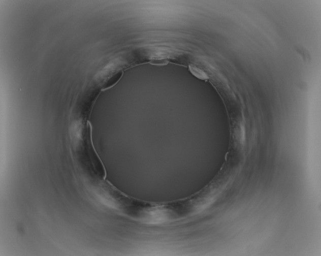 X0000110990219200907022123