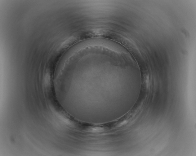 X0000110990220200907022123