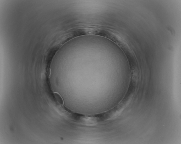 X0000110990221200907022123