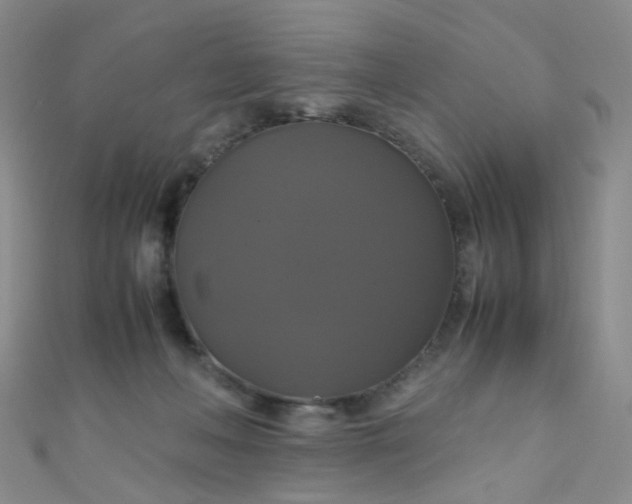 X0000110990222200907022123