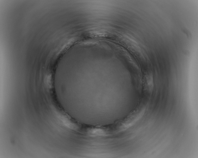 X0000110990224200907022123