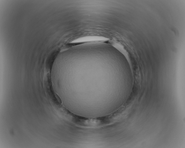 X0000110990225200907022123