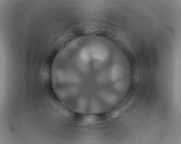 X0000110990226200907022123