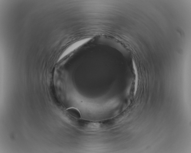 X0000110990227200907022123