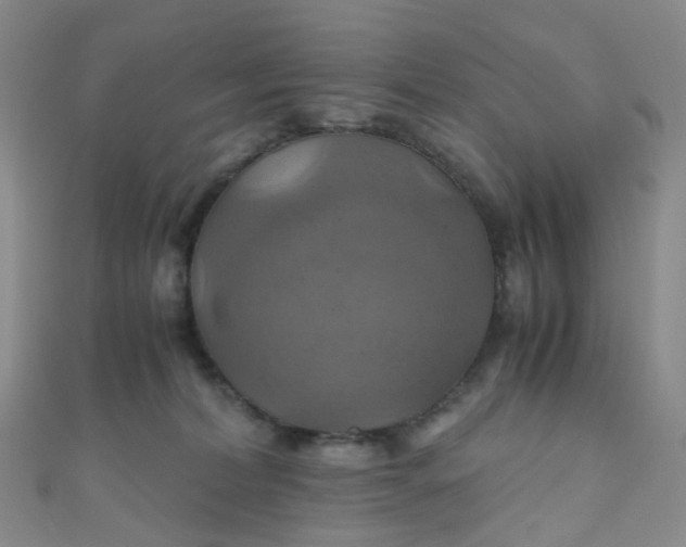 X0000110990228200907022123