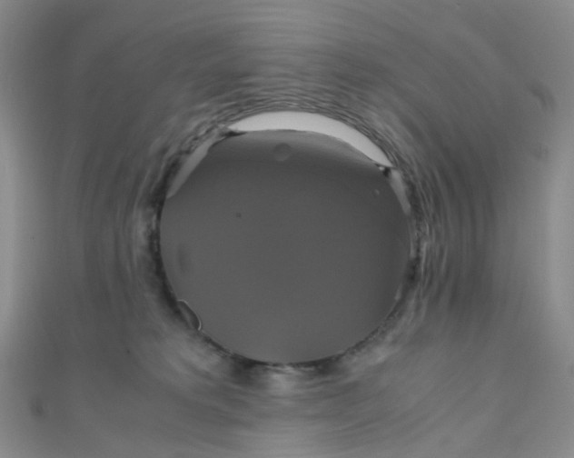 X0000110990229200907022123
