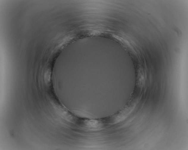 X0000110990230200907022123