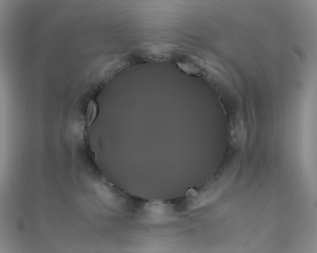 X0000110990231200907022123