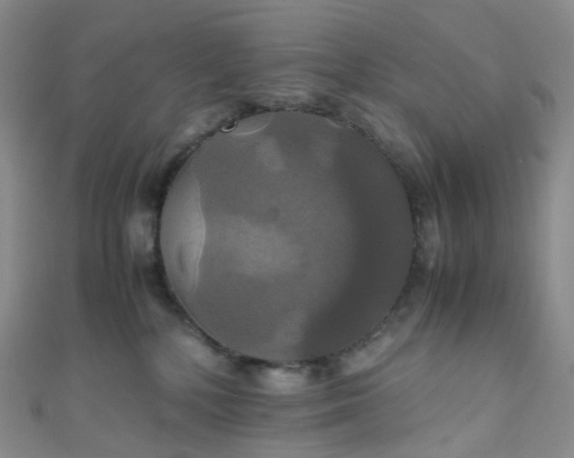 X0000110990232200907022123