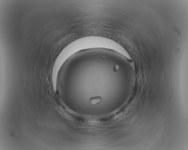 X0000110990233200907022123