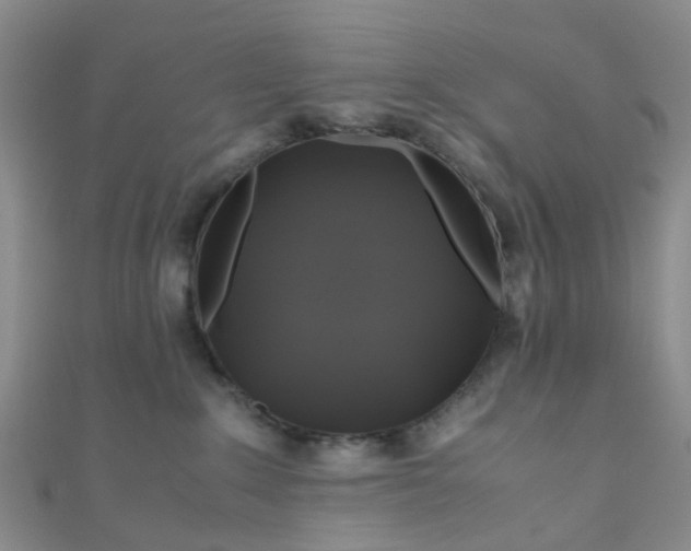 X0000110990235200907022123