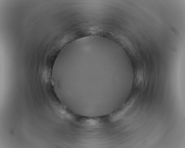 X0000110990236200907022122