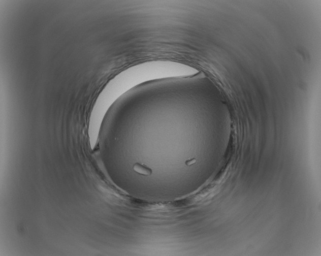 X0000110990237200907022122