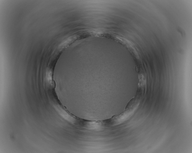 X0000110990238200907022122