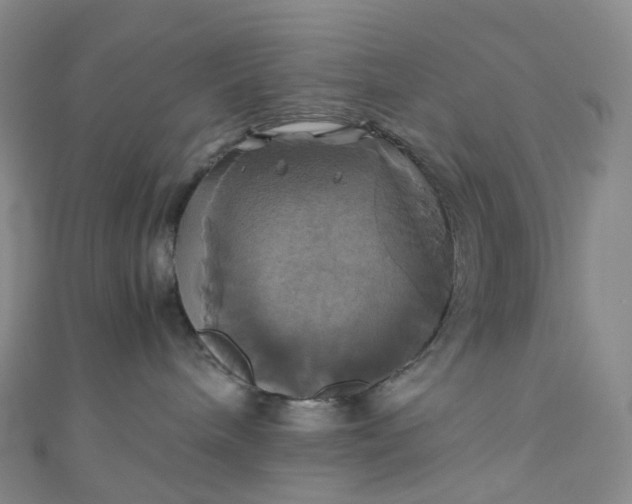 X0000110990240200907022122
