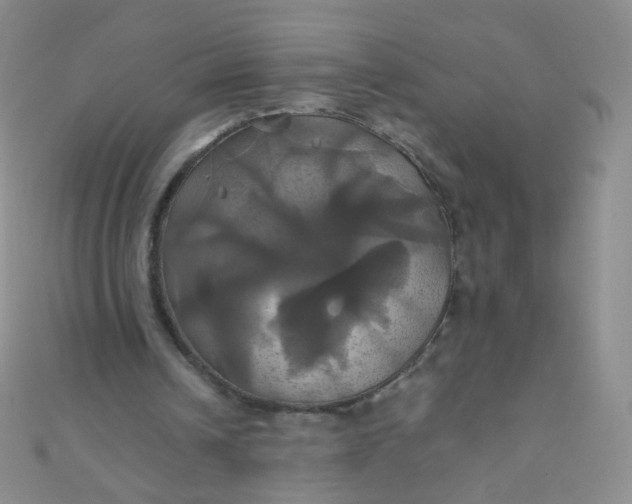 X0000110990242200907022122