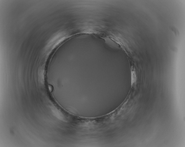 X0000110990243200907022122